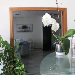 entrada recepción (2)