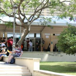 Estudiantes realizando la EVAU en la Facultad de Medicina de Málaga